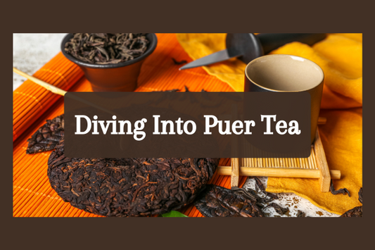 Diving into puer tea