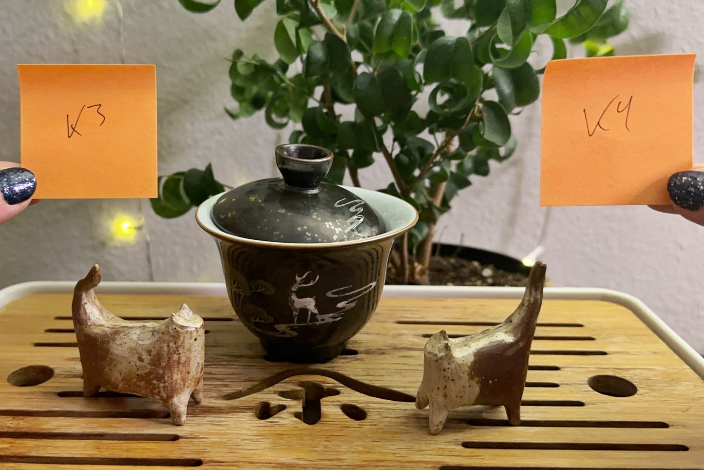 Kitty tea pets 3 & 4