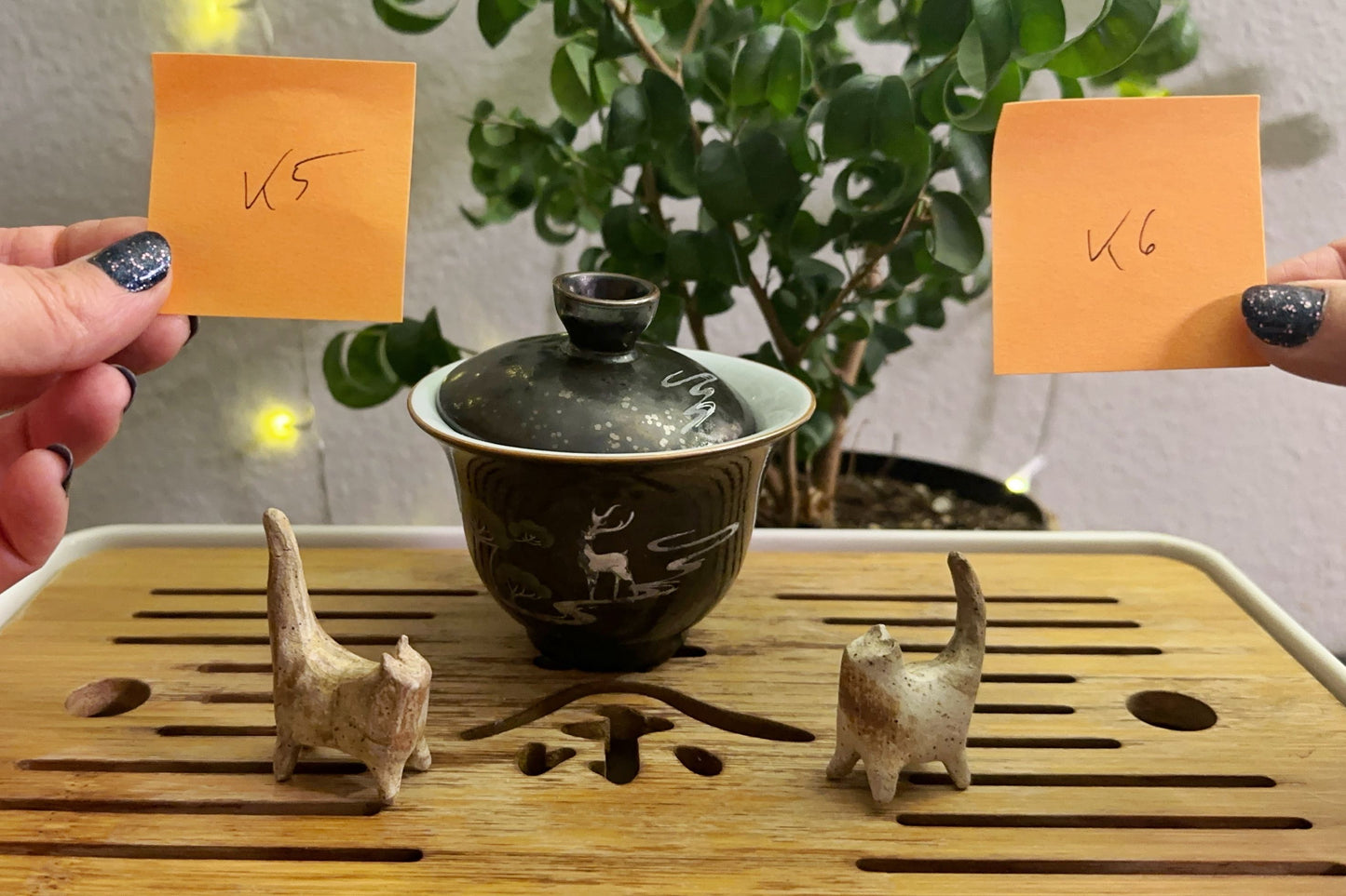 Kitty tea pets 5 & 6