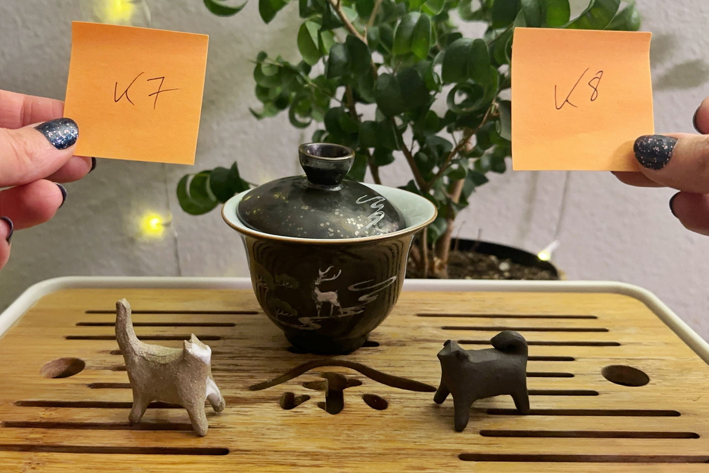 Kitty tea pets 7 & 8