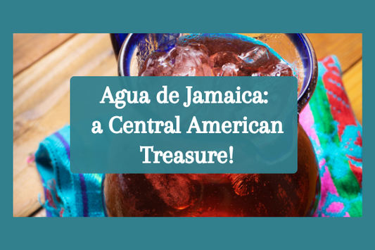 Agua de Jamaica: a Central American Treasure!