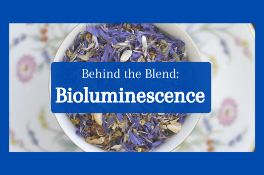 Behind the Blend: Bioluminescence