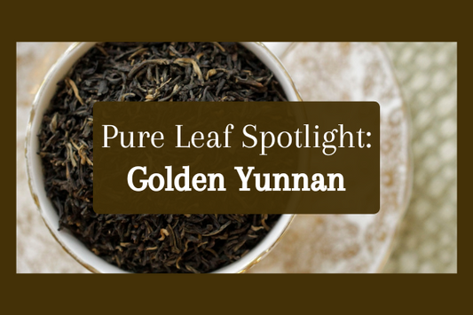 Pure Leaf Spotlight: Golden Yunnan