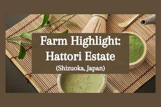 Farm Spotlight: Hattori Family Matcha!
