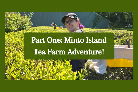 Photo of Friday in tea field with blog title overlay