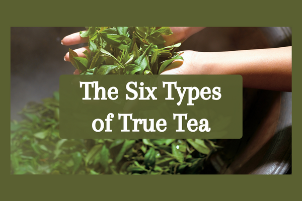 Six Tea Types A Beginners Guide: The Six Types Of Teas – PWQAVC