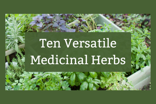 Ten Versatile Medicinal Herbs