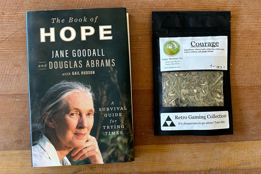 The Book of Hope & Courage