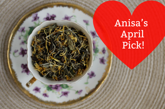 Anisa's April Pick: Paladin's Pride