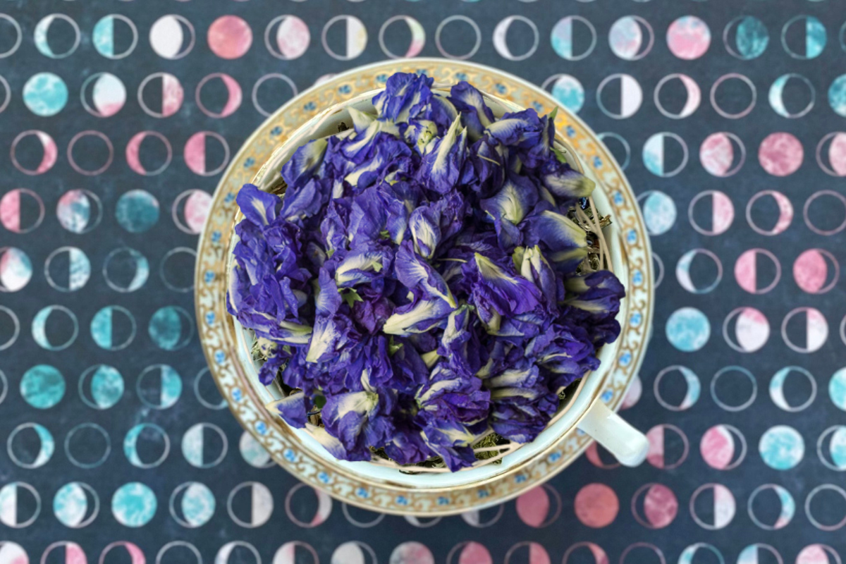 Teacup full of blue peaflower