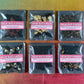All six Decaf Slutty Fruit teas spread in a grid