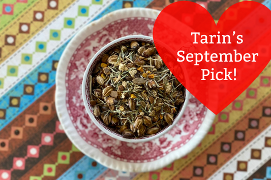 Tarin's September Pick: Mighty Hero