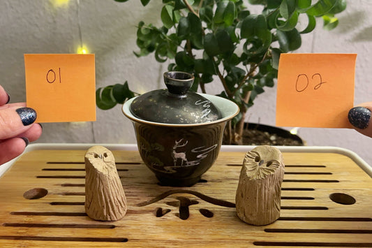 Owl pets 1 and 2